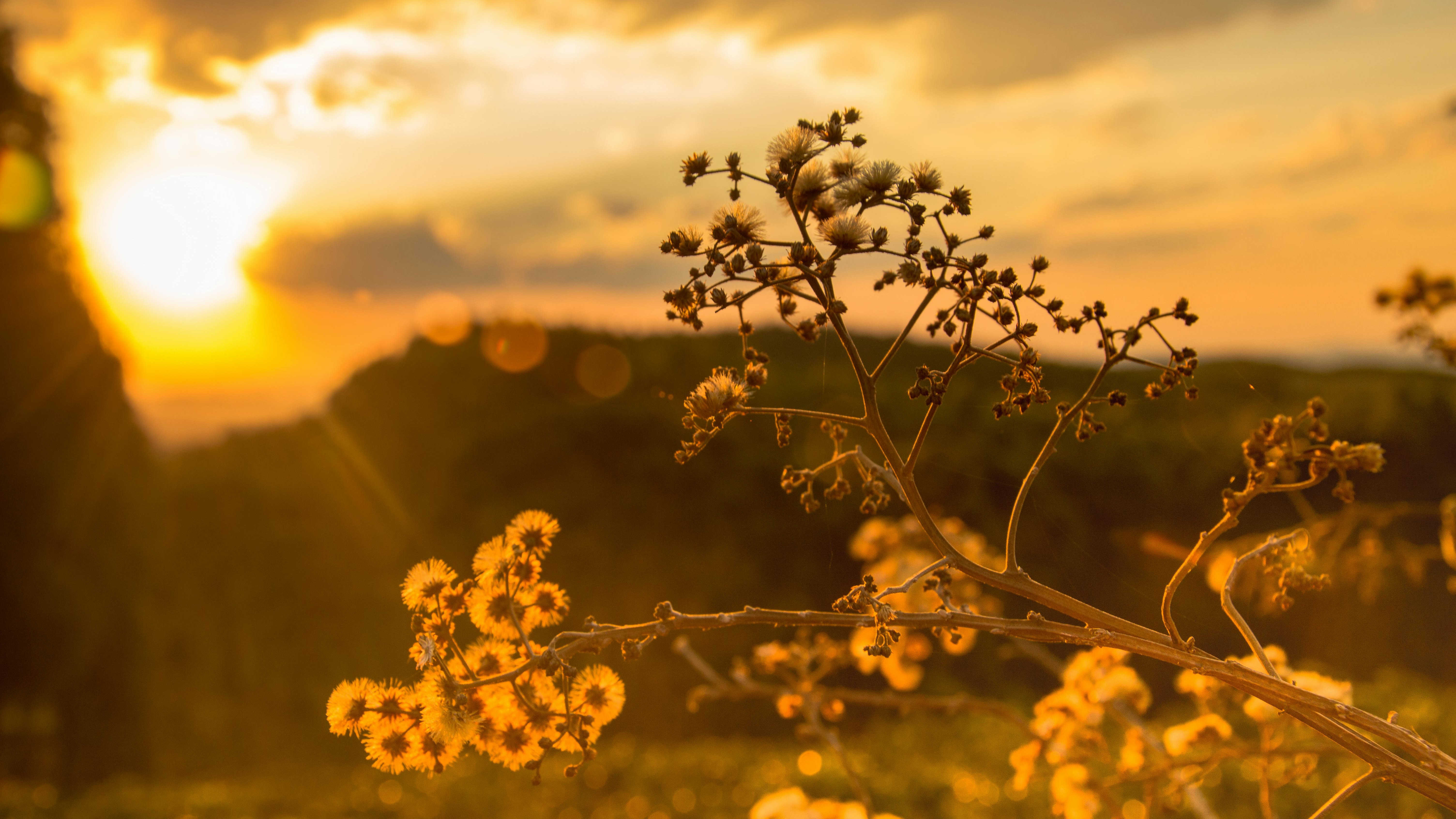A warm golden sunrise over green fields, the village we are building
